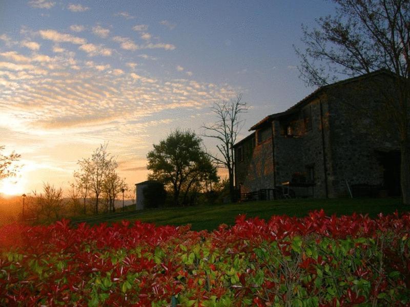 Agriturismo Il Poggio Di Orvieto Guest House Exterior photo