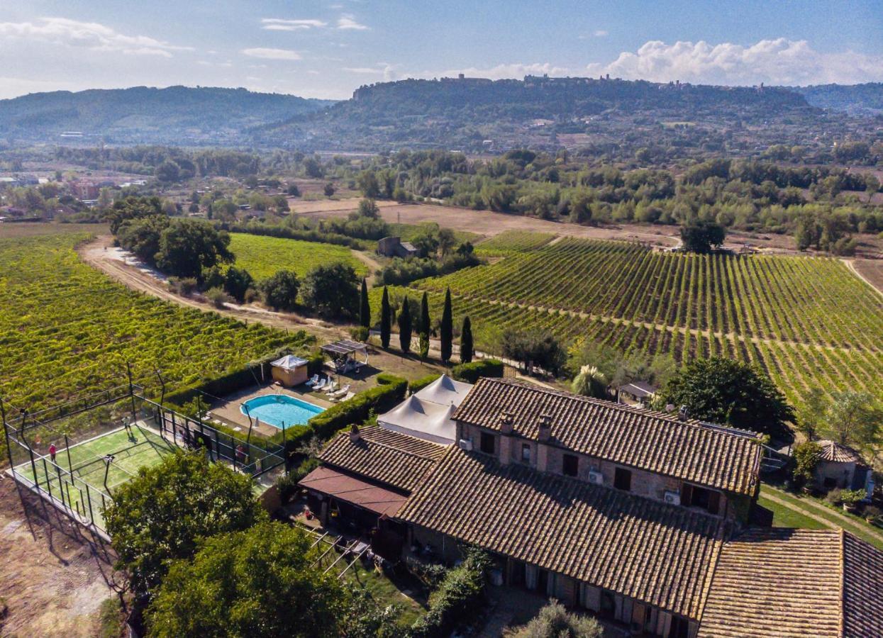 Agriturismo Il Poggio Di Orvieto Guest House Exterior photo