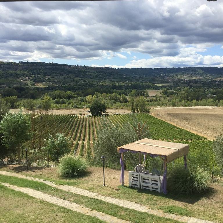 Agriturismo Il Poggio Di Orvieto Guest House Exterior photo