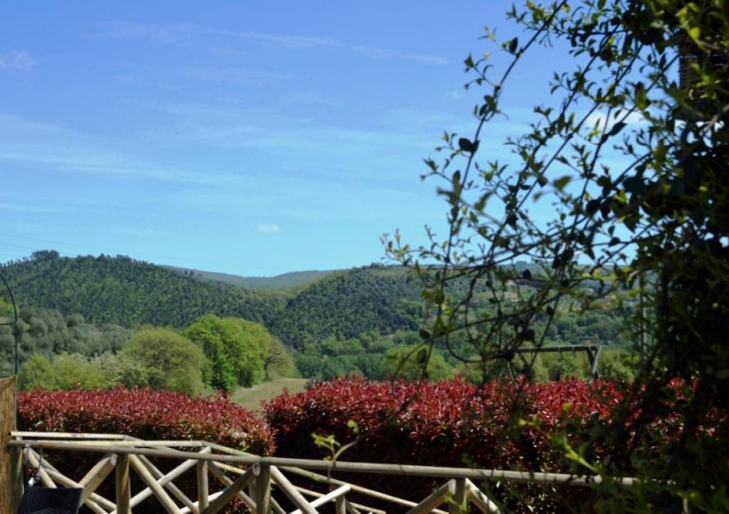 Agriturismo Il Poggio Di Orvieto Guest House Exterior photo